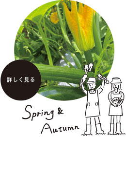 Spring&Autumn